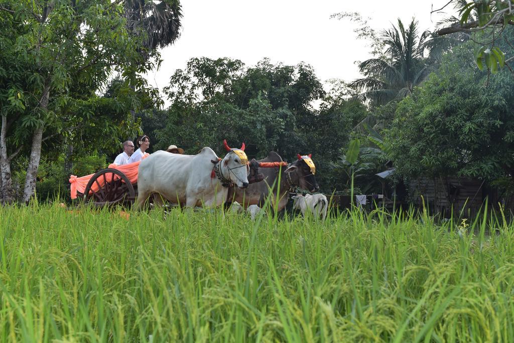 Angkor Rural Boutique Resort Ciudad de Siem Riep Exterior foto