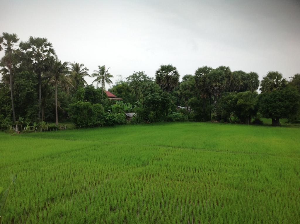 Angkor Rural Boutique Resort Ciudad de Siem Riep Exterior foto
