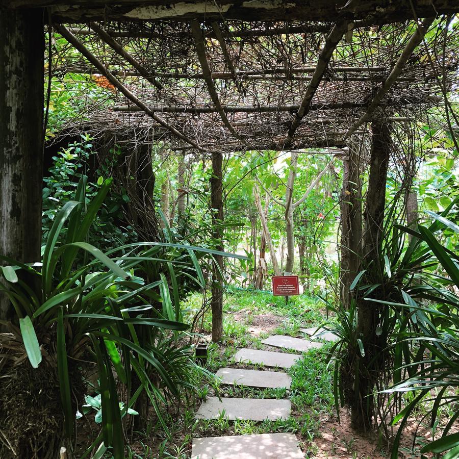Angkor Rural Boutique Resort Ciudad de Siem Riep Exterior foto