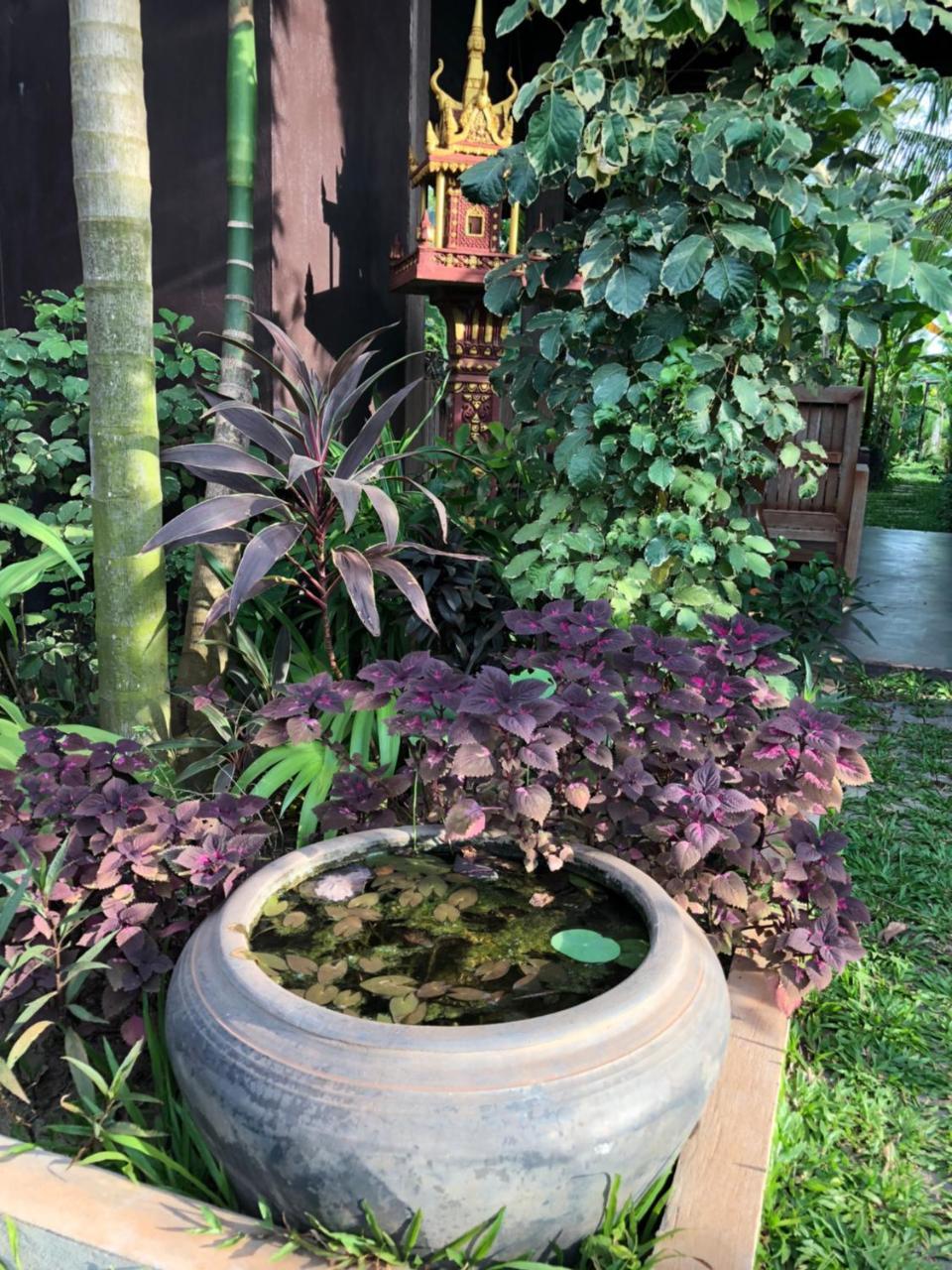 Angkor Rural Boutique Resort Ciudad de Siem Riep Exterior foto